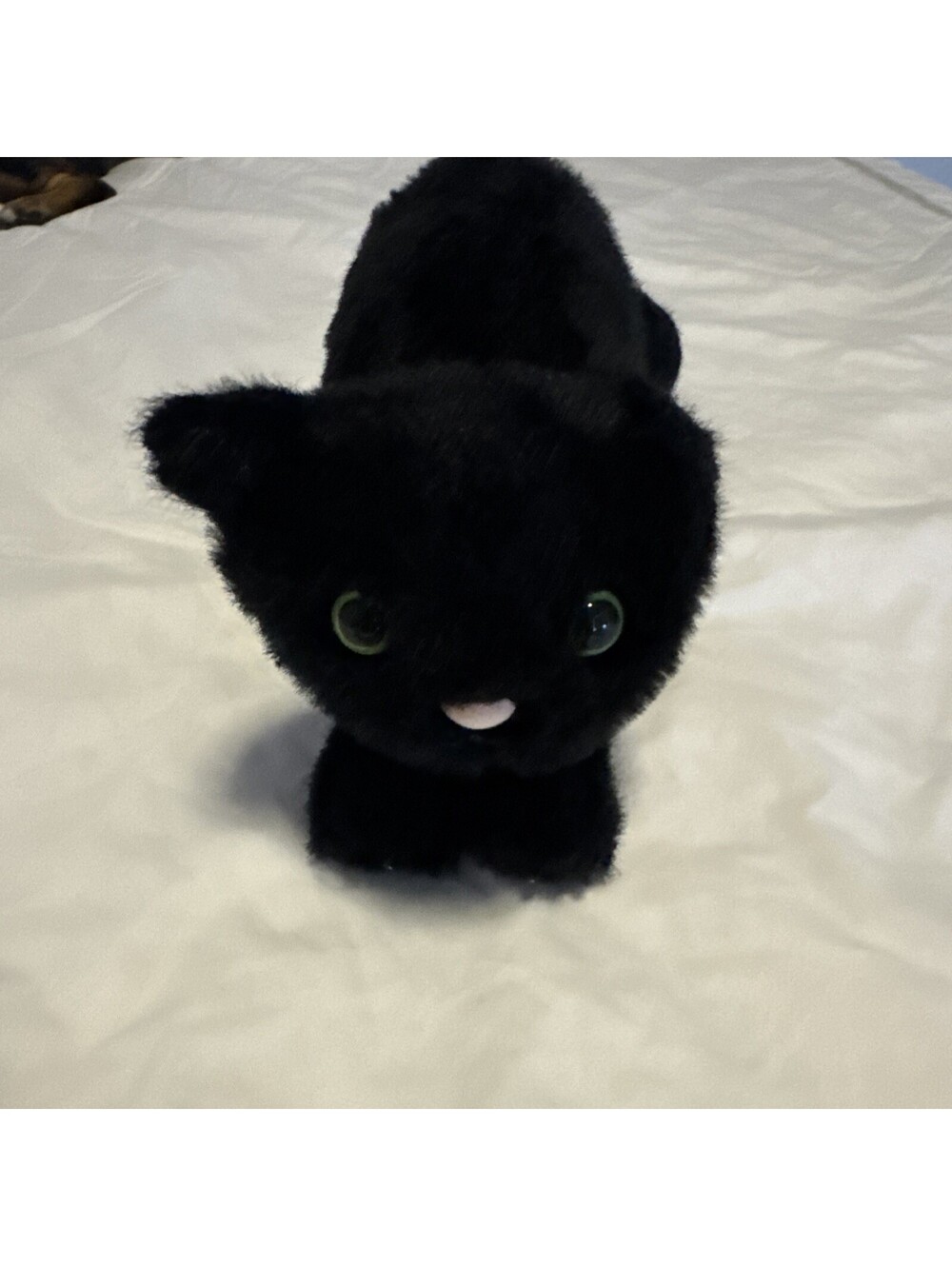 NWT Jellycat SPOOKIPAWS CAT Authentic Limited Edition Halloween Black Cat